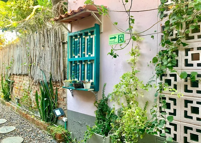 Hostel Musa Paradisiaca Santa Marta 
